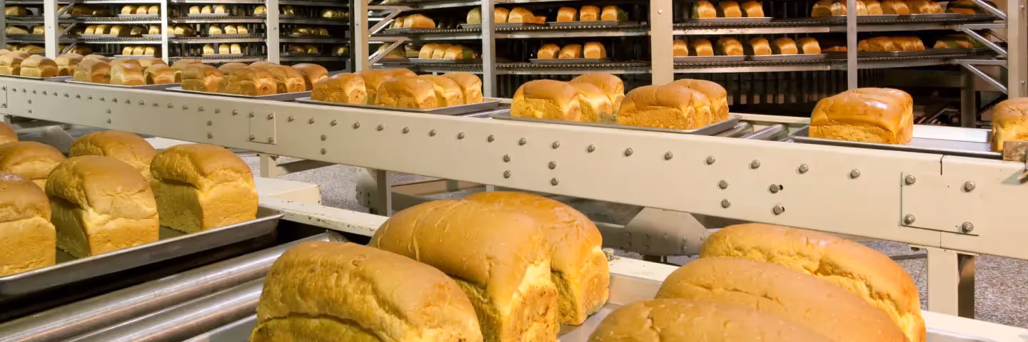Industrial bakery conveyor belt.
