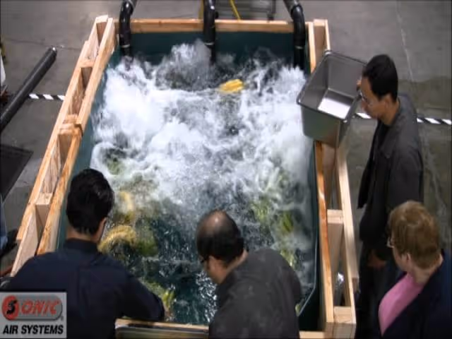 Air Agitation For Washing Harvested Fruit